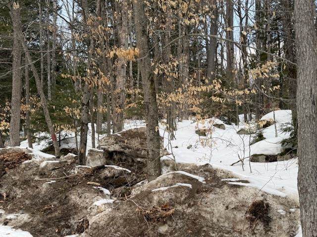 Map 6 Lot 103 Route 16 - Photo 1
