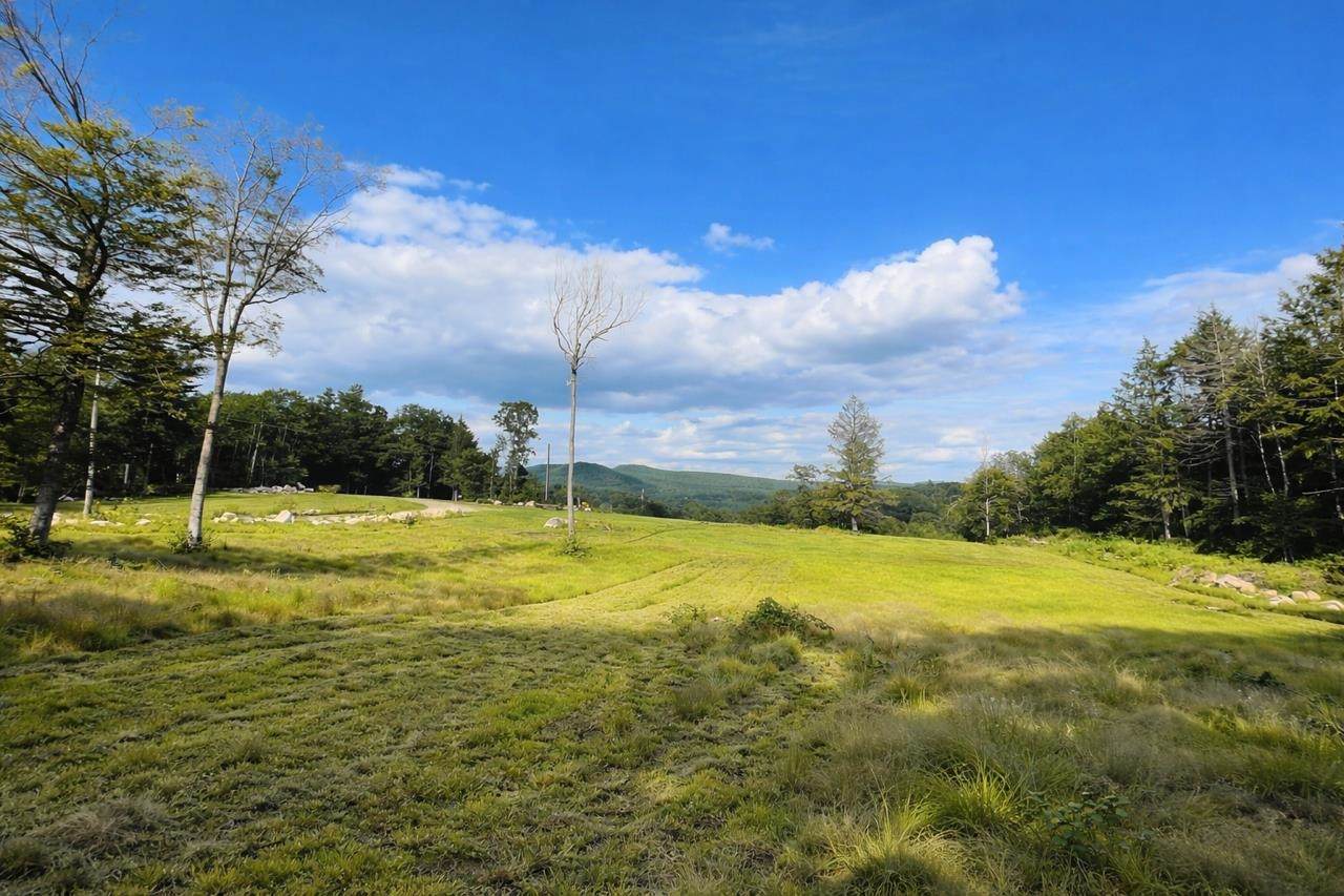 Lot 70.1 Old North Branch Road - Photo 1