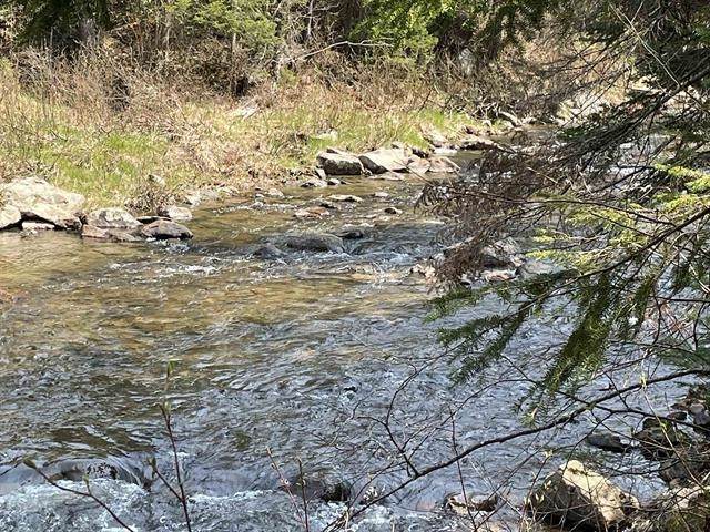 Simms Stream Road - Photo 1