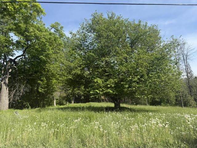 https://bt-photos.global.ssl.fastly.net/nneren/orig_boomver_1_5080390-2.jpg