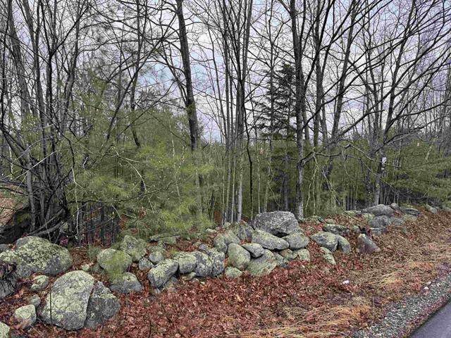 TBD Mason Road - Photo 1