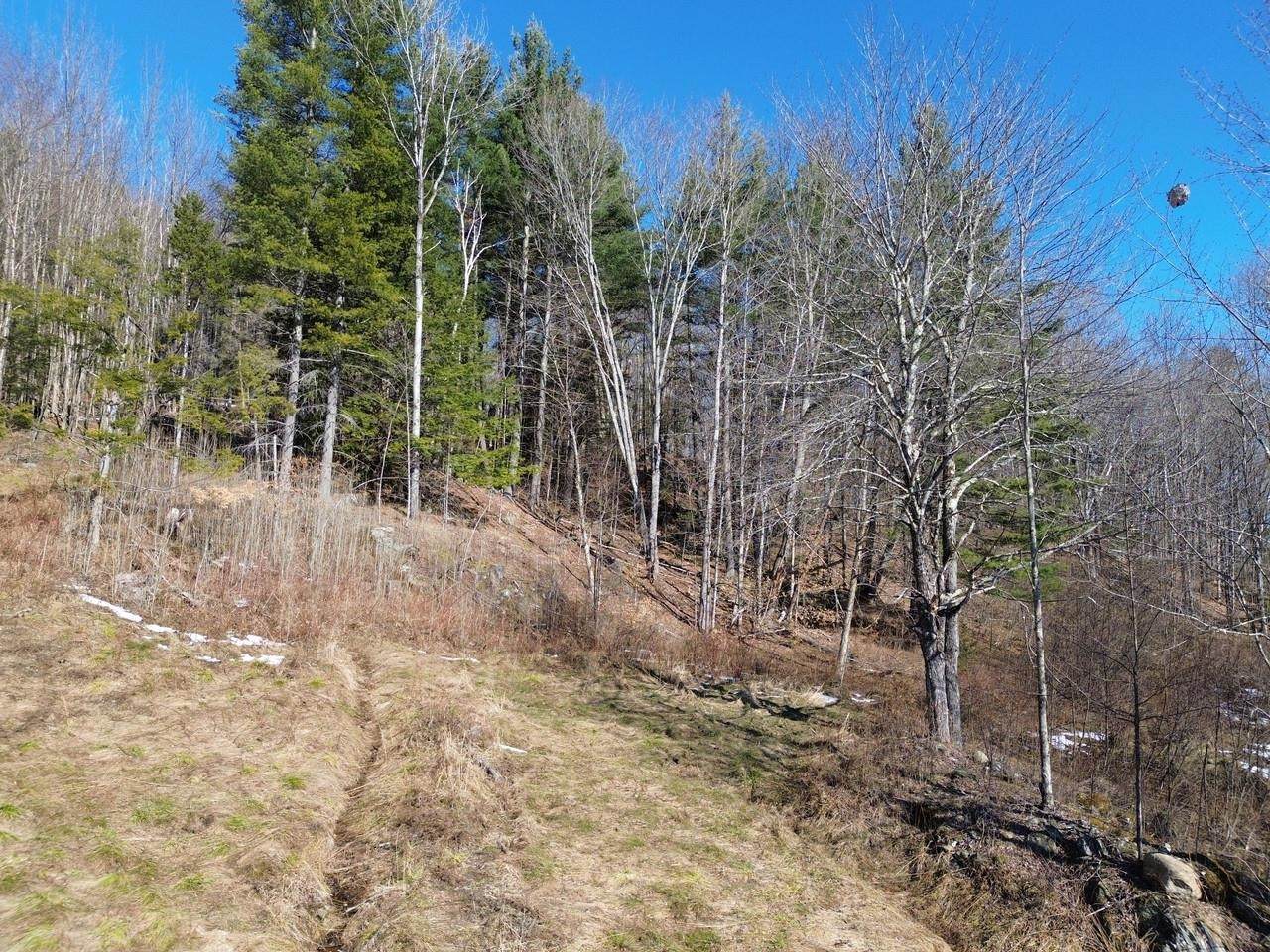 00 Bent Birch Lane - Photo 1