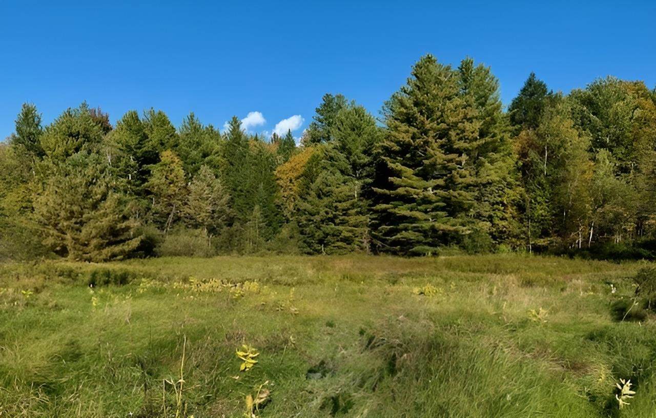 843 River Road - Photo 1