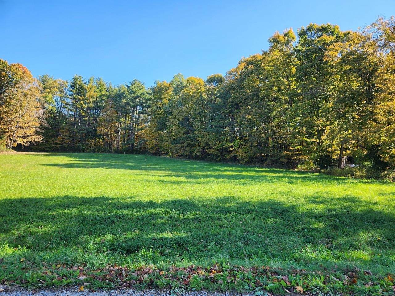 237 Shackett Road - Photo 1