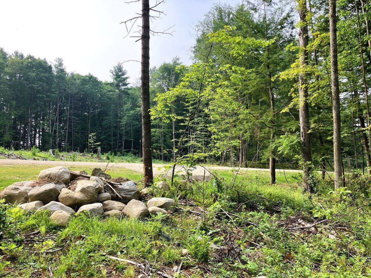 Lot 5 Fern Lake Road - Photo 1
