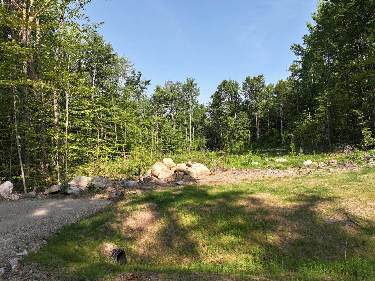 Lot 6 Fern Lake Road - Photo 1