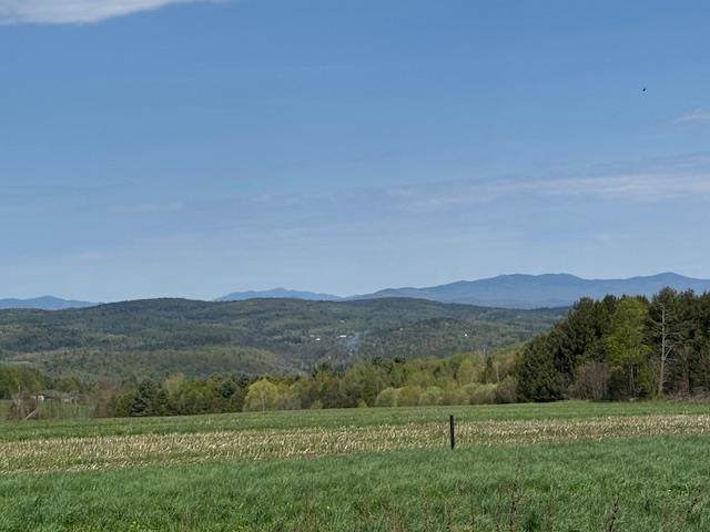 389 Young Road - Photo 1