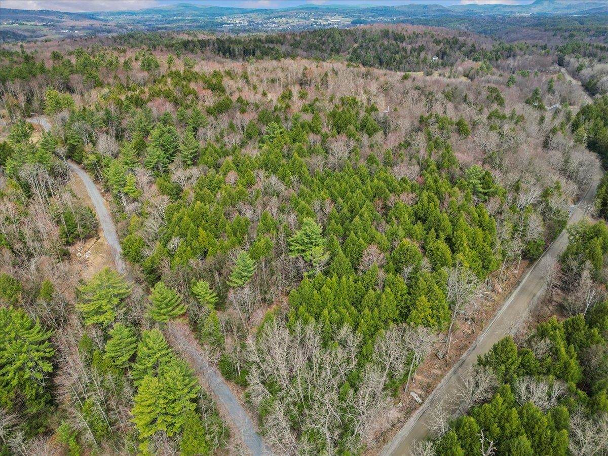 Lots 2 & 3 Hemlock Ridge - Photo 1
