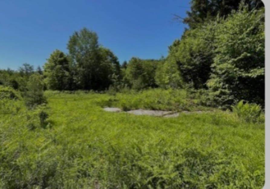 0 Alder Plains Road - Photo 1