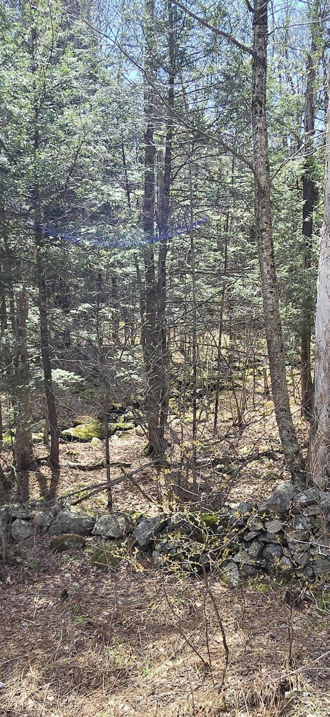 https://bt-photos.global.ssl.fastly.net/nneren/orig_boomver_1_5086763-2.jpg