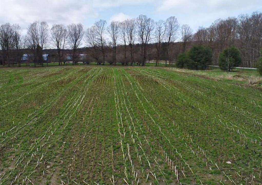 https://bt-photos.global.ssl.fastly.net/nneren/orig_boomver_1_5086977-2.jpg