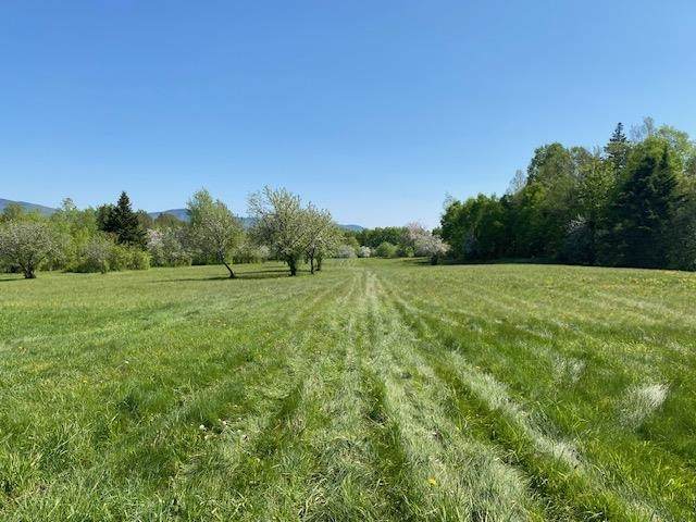 Off Reed Road - Photo 1