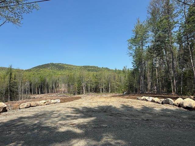 Lot 56.2 Faraway Road - Photo 1