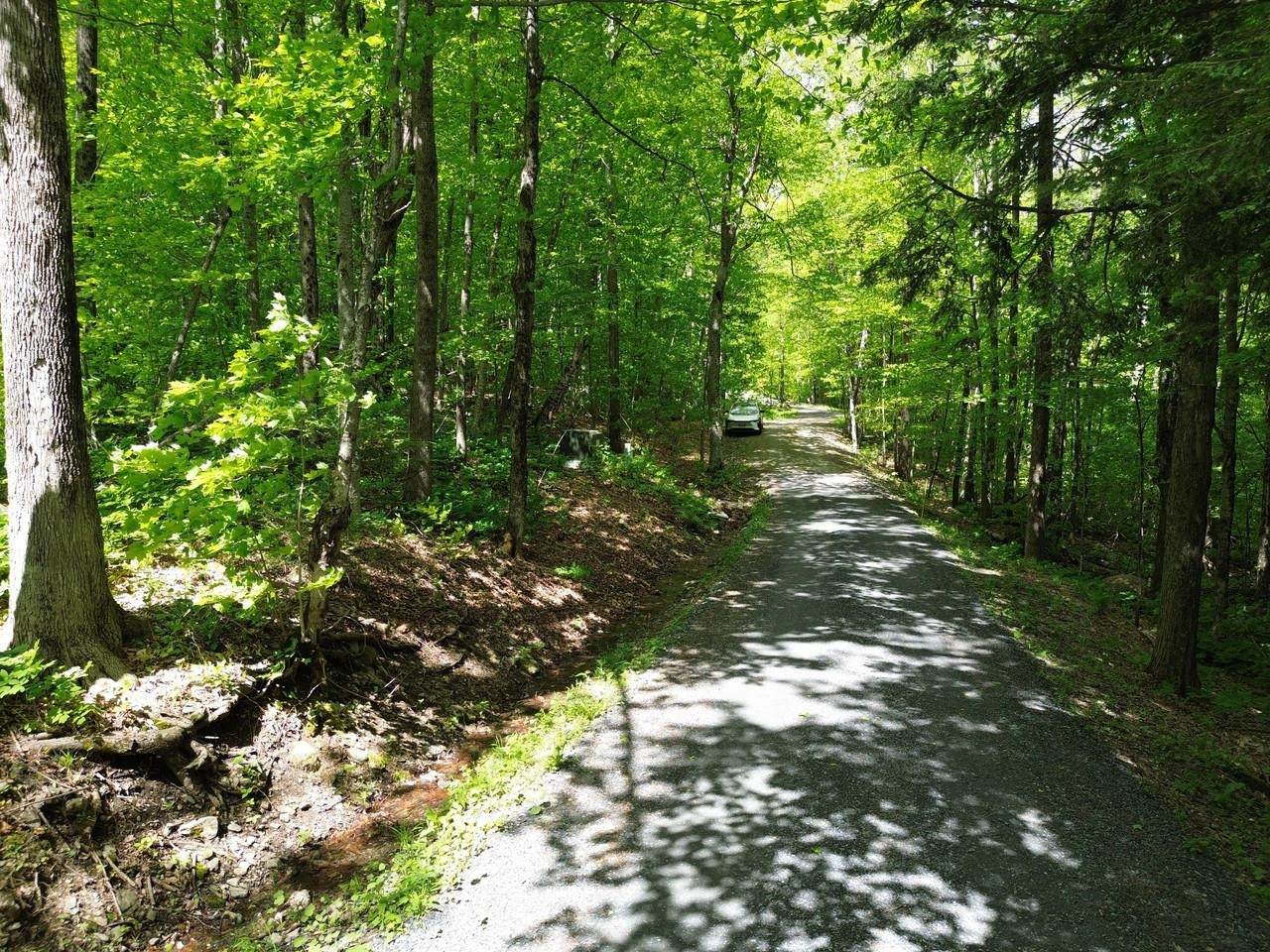 197 Sugar Ledge Road - Photo 1