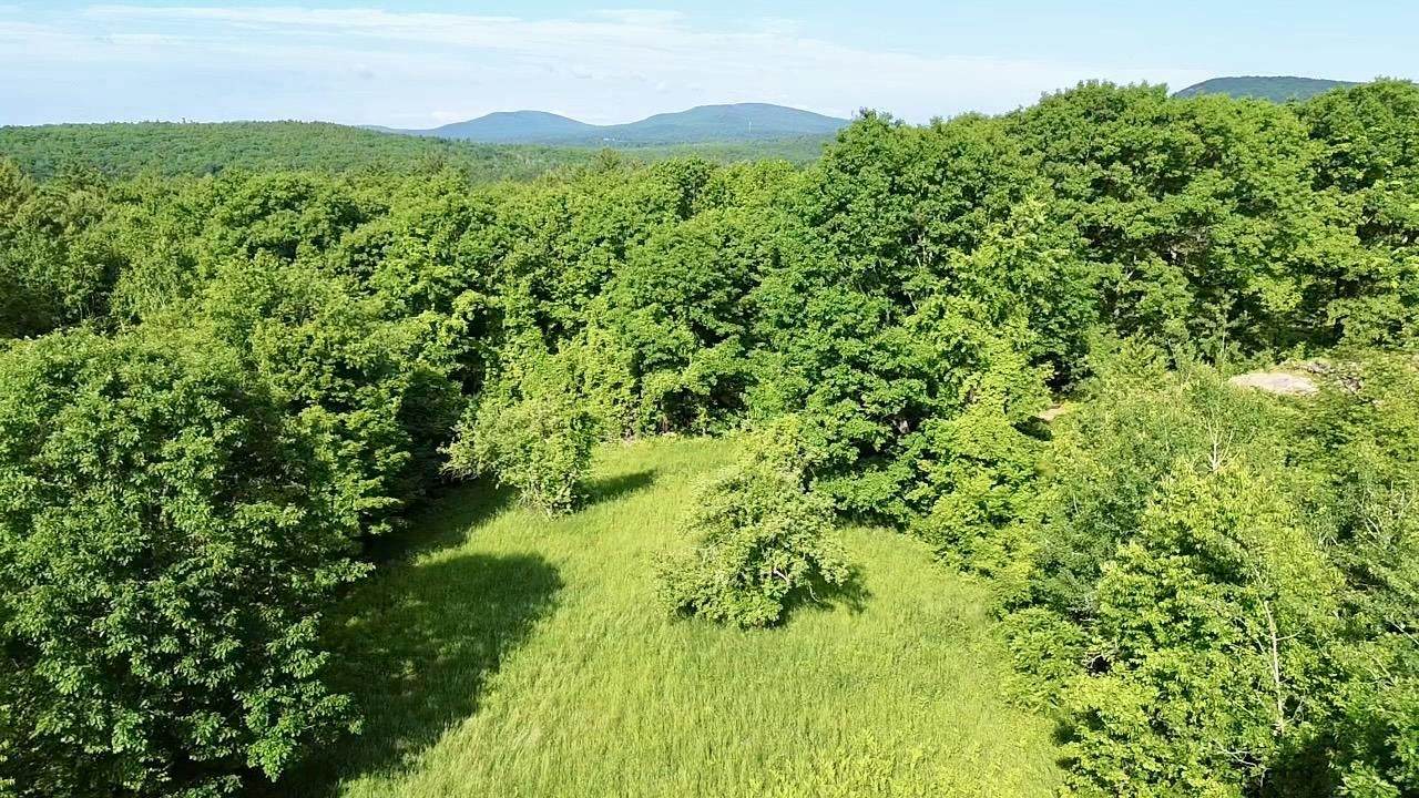 00 Center Road - Photo 1