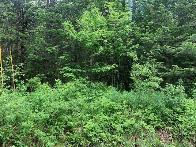 TBD Griffin Road - Photo 1