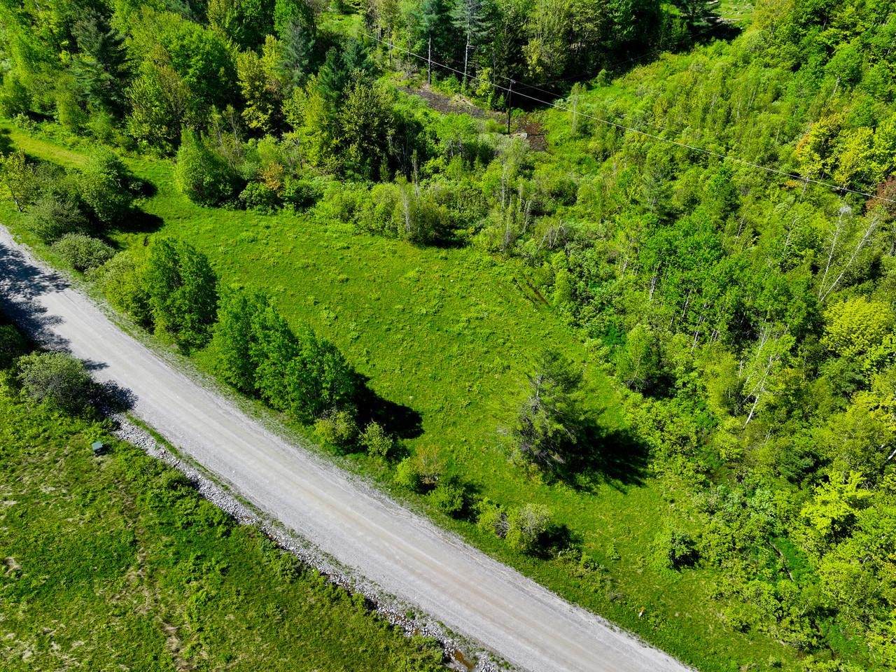 Lot 4 Weaver Road - Photo 1