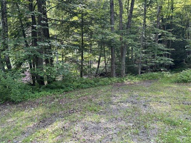  Gird Lot Road - Photo 1