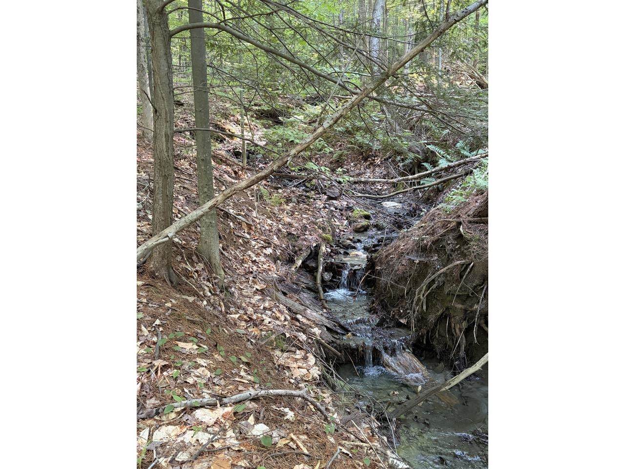 0 Old Carriage Road - Photo 1