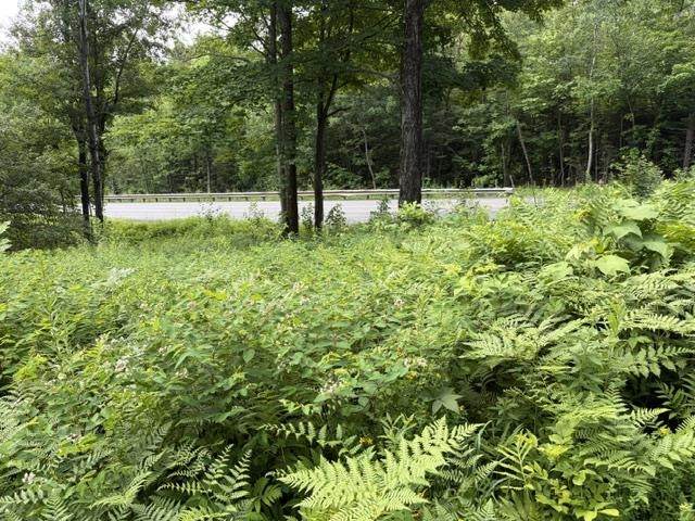 2100 Rt 58 - Photo 1
