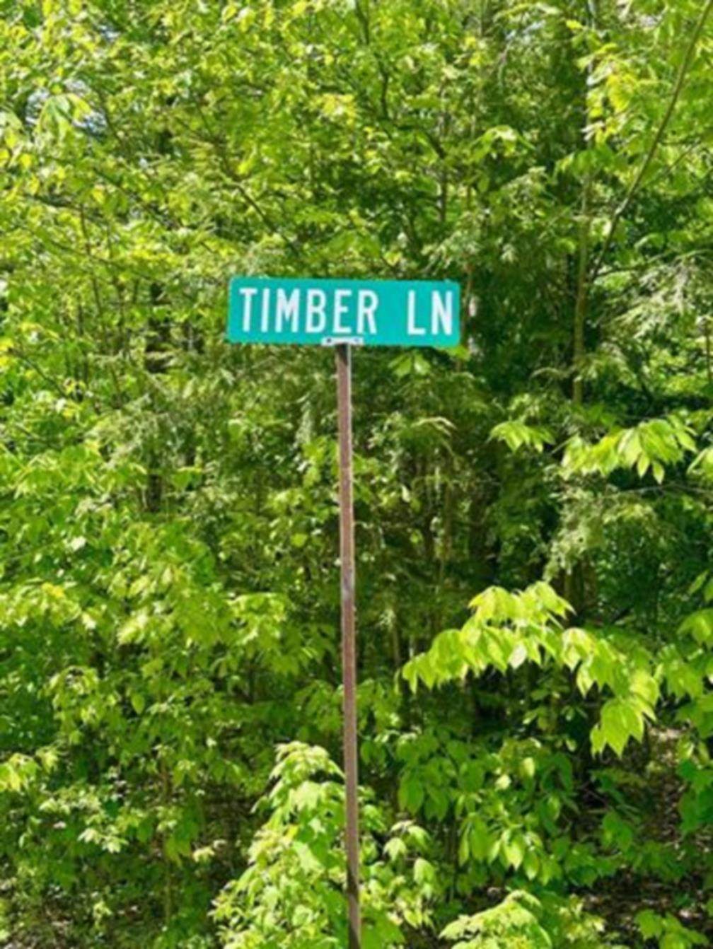 G6 Timber Lane - Photo 1