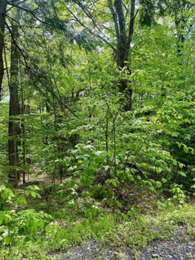 https://bt-photos.global.ssl.fastly.net/nneren/1280_boomver_1_5108921-2.jpg