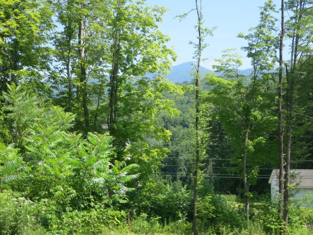 Lot 1 Main Road - Photo 1