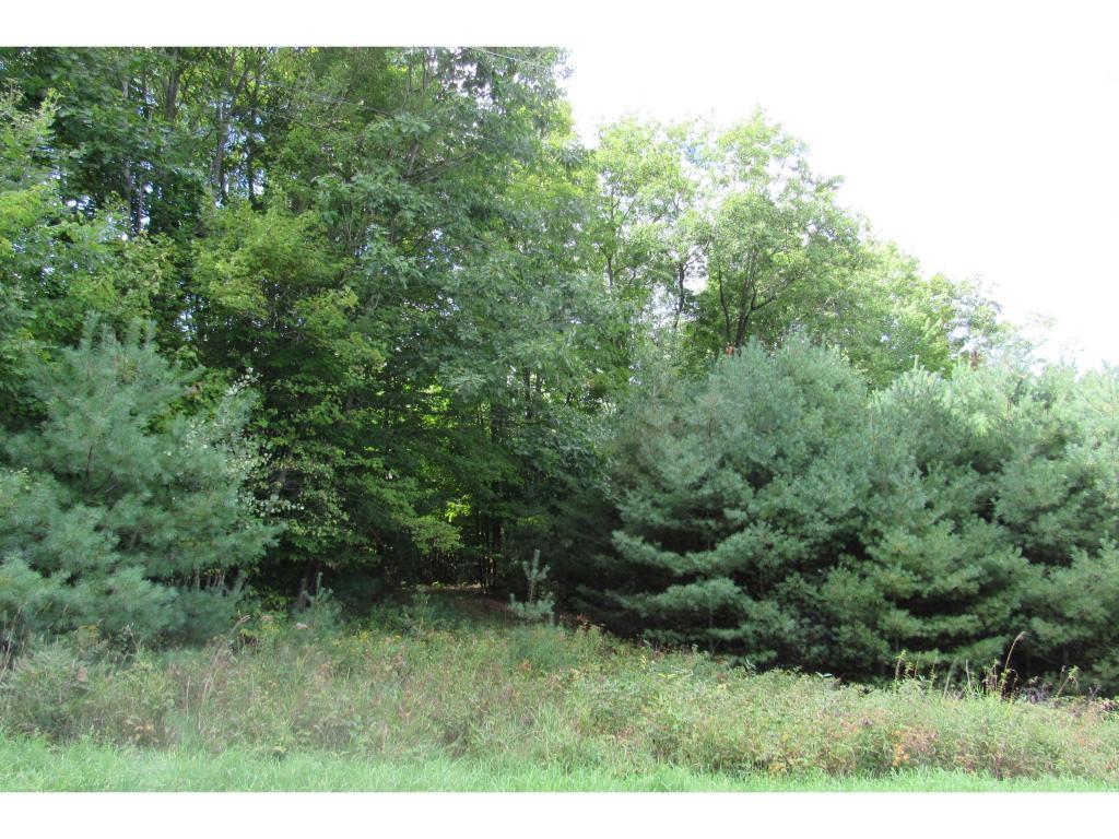 110 Lily Lane Lane - Photo 1
