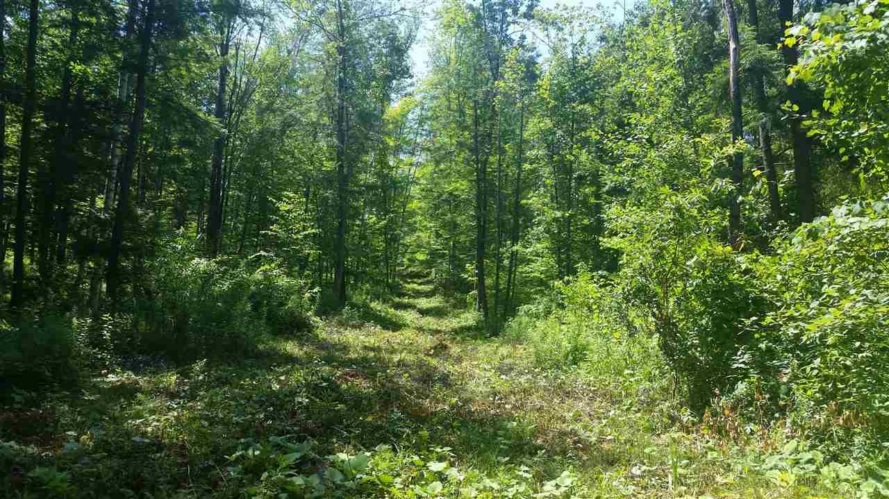90 Alden Road - Photo 1