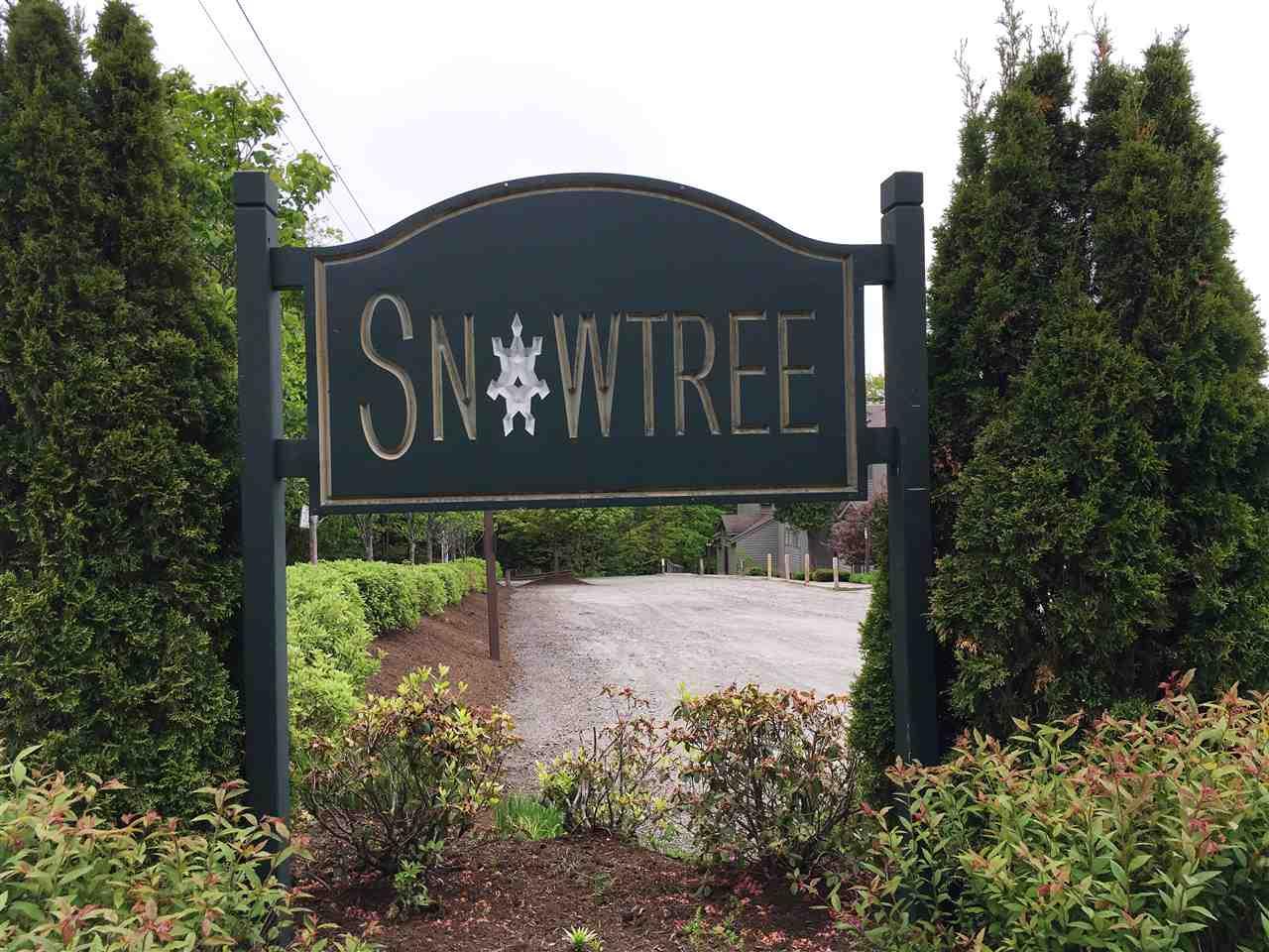 13 J Snow Tree Lane - Photo 1
