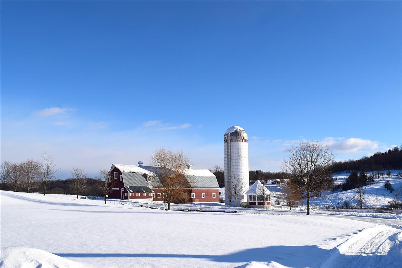 1623 Buttolph Road - Photo 1