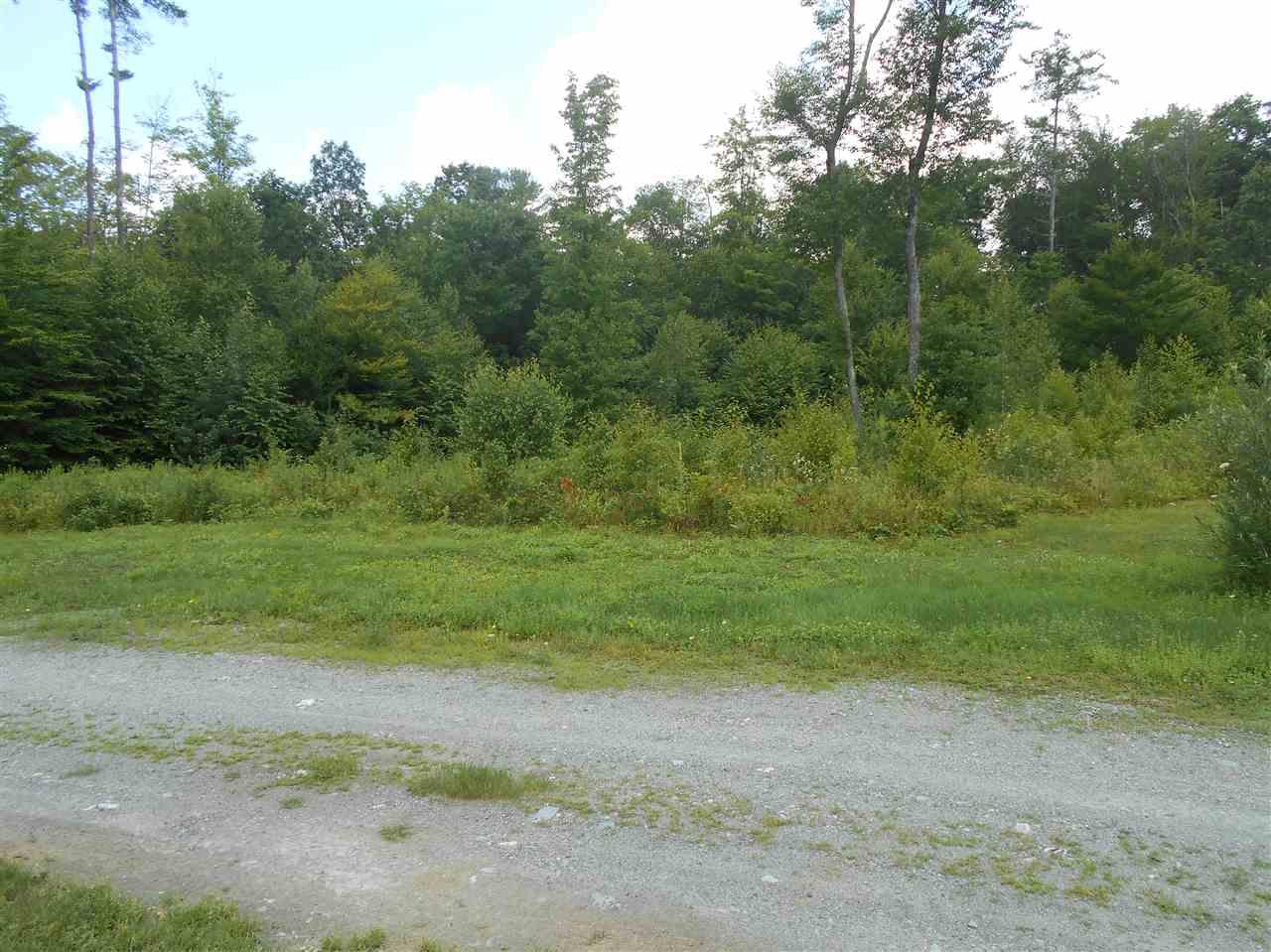 Lot 5 Pine Meadows - Photo 1