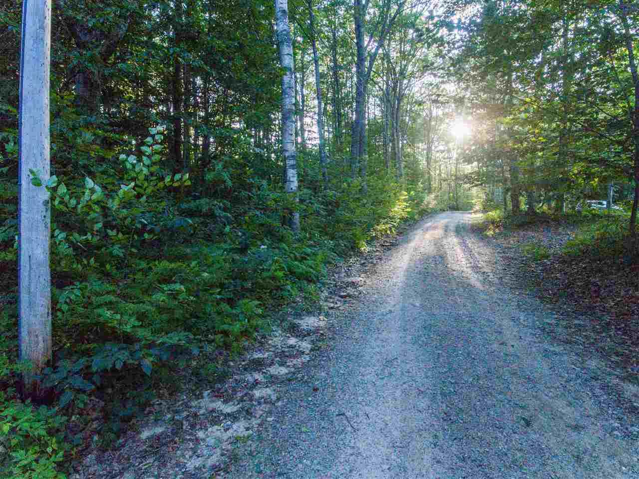 45 Sawyer Road - Photo 1