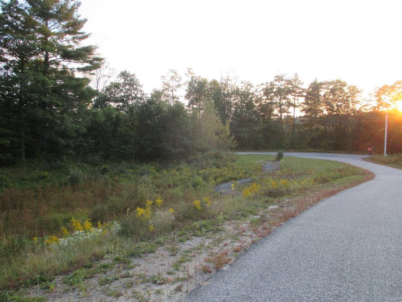 LOT 2 Buck Ridge Road - Photo 1
