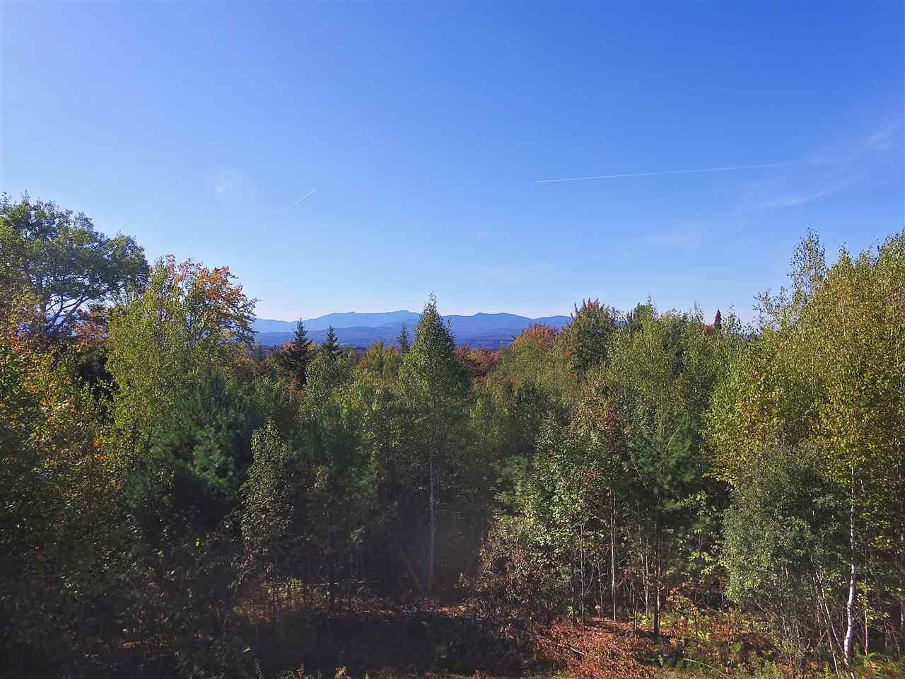 Lot 8 Worcester Ridge Road - Photo 1