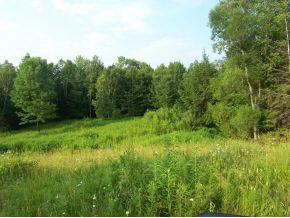 20 Appletree Lane - Photo 1