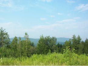 70 Appletree Lane - Photo 1