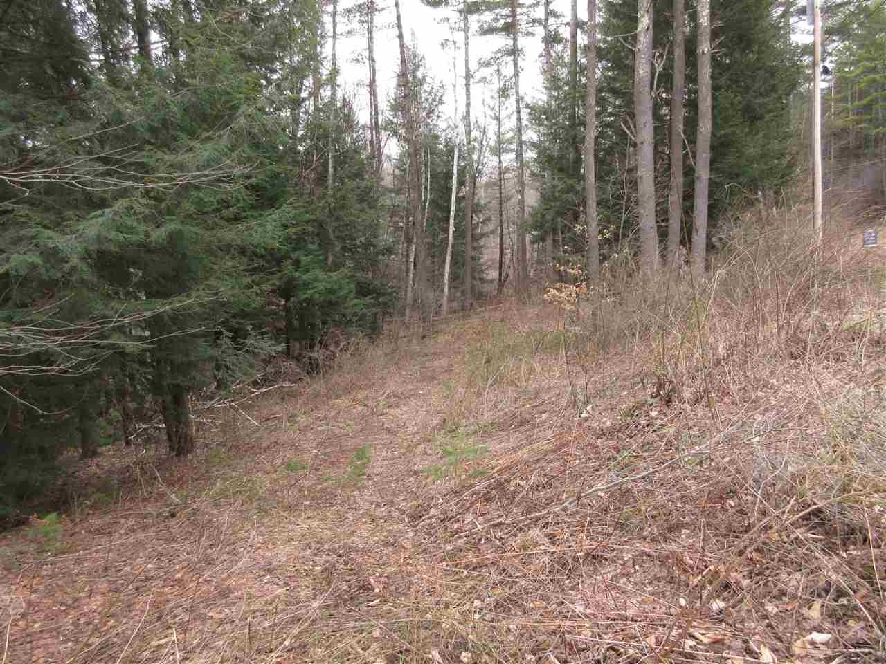185 Hansen Drive - Photo 1