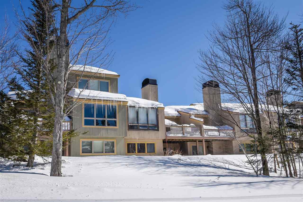 28B Silver Birch (Tc 118) - Photo 1
