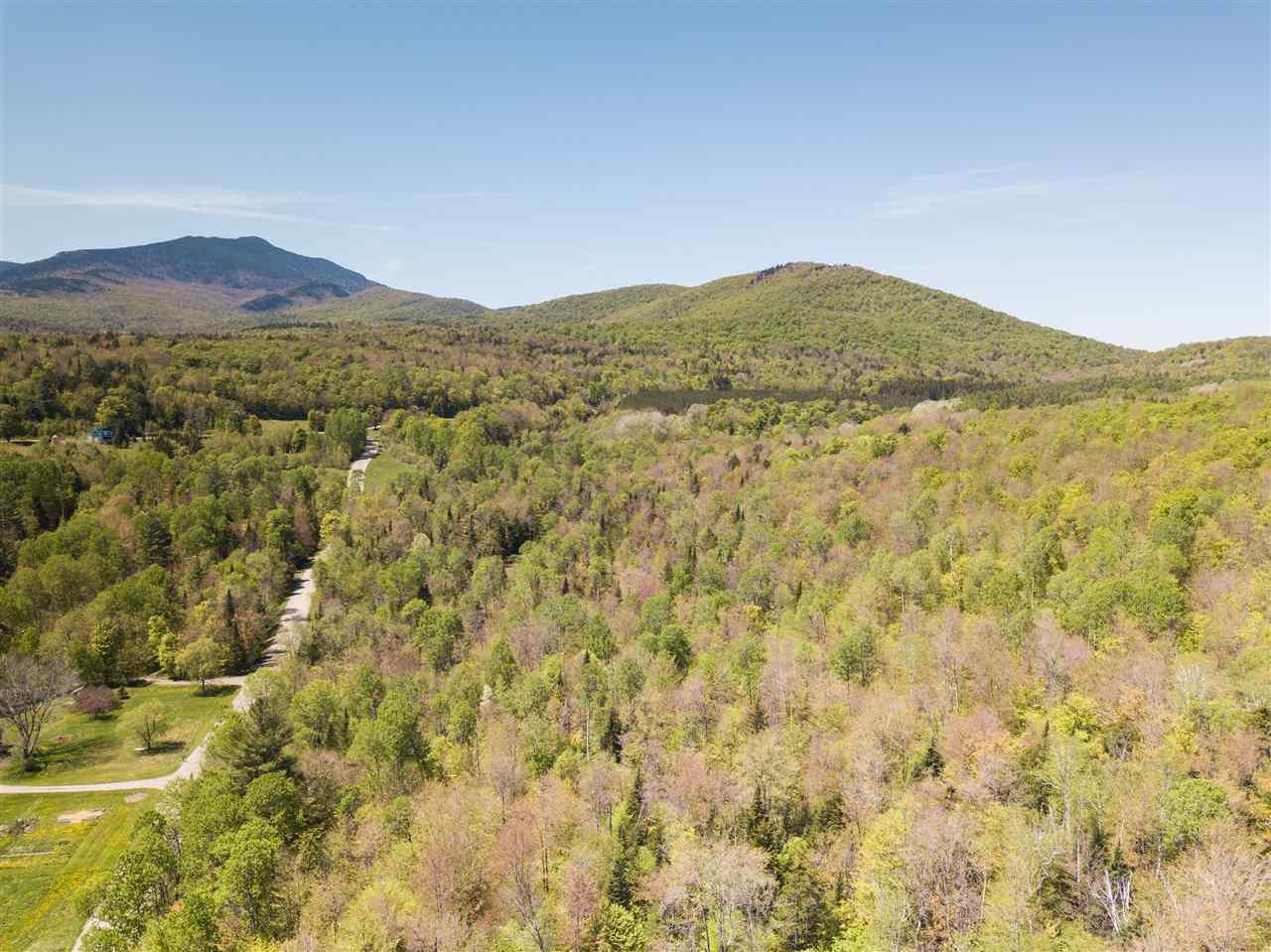 1480 Mud City Loop - Photo 1