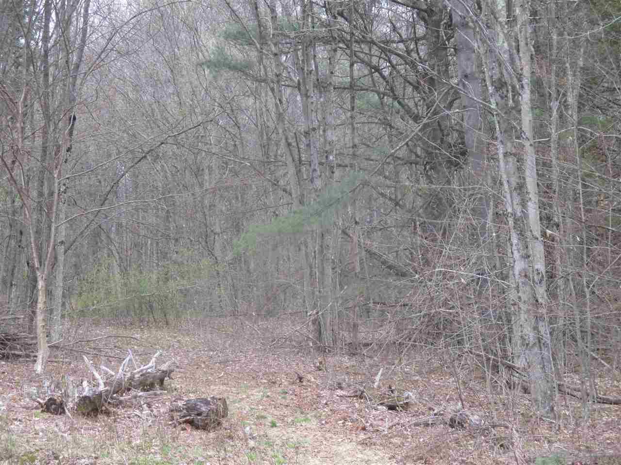 xxx Dalewood Road - Photo 1