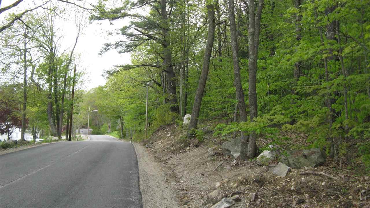 Lt 2,3,4,5 Trotting Track Road - Photo 1