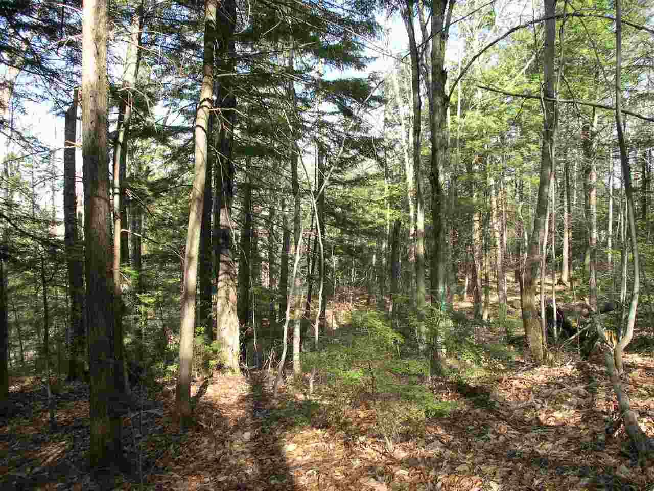 885 Mount Cardigan Road - Photo 1