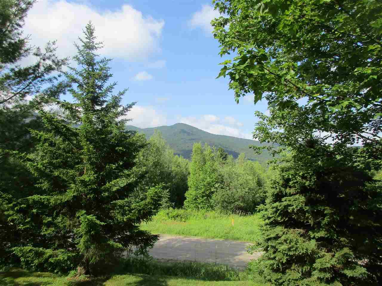 2 Steven Mills Slide Road - Photo 1