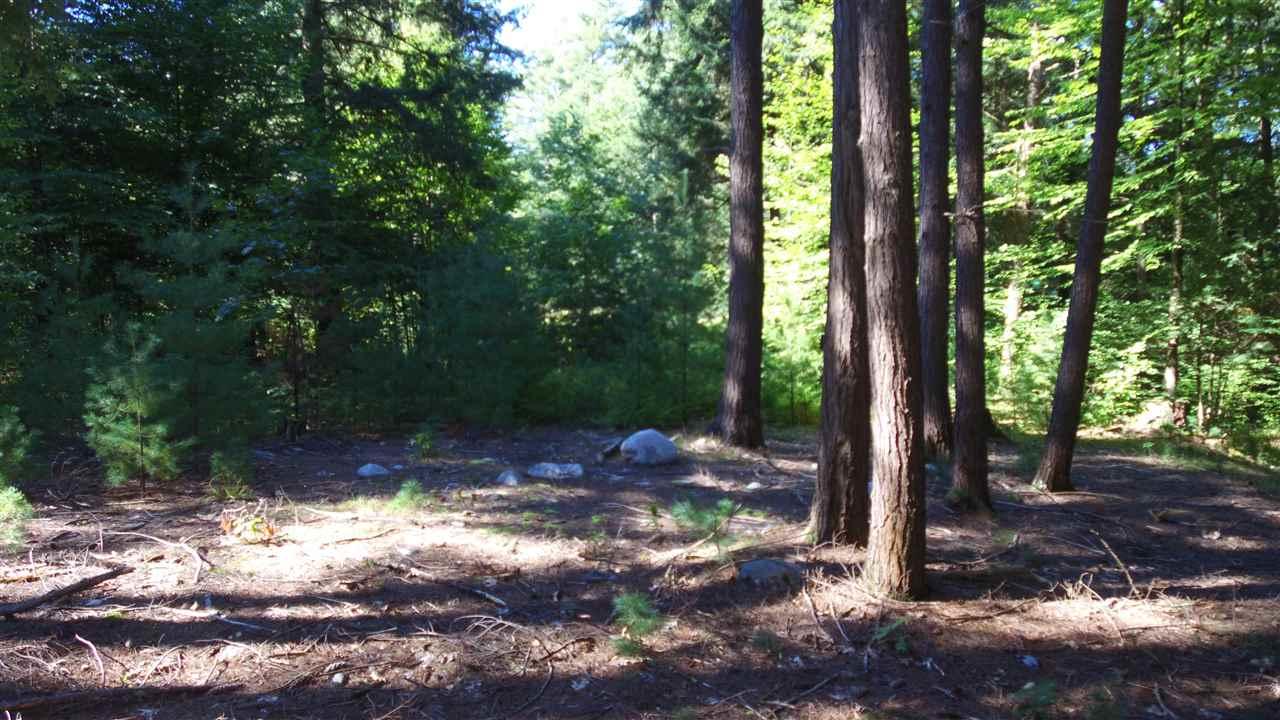 Knipes Road - Photo 1