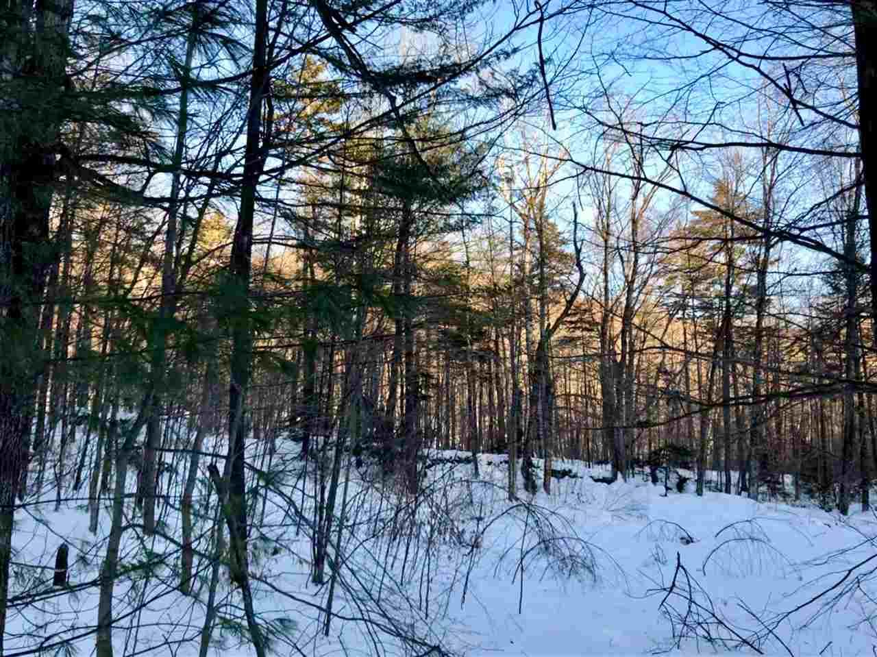 Twenty Mile Stream Road - Photo 1