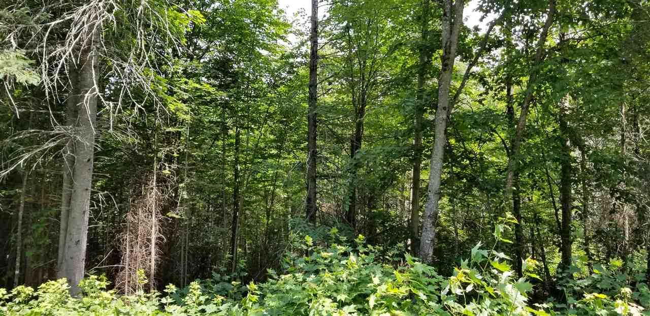 500 Morey Road - Photo 1