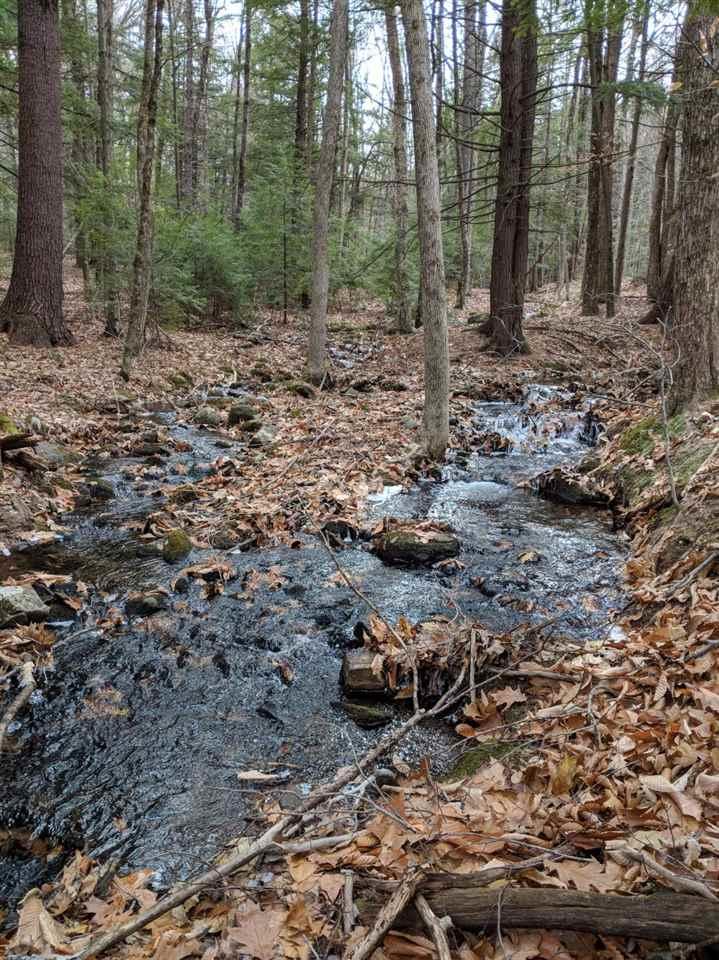 45 Sawyer Road - Photo 1