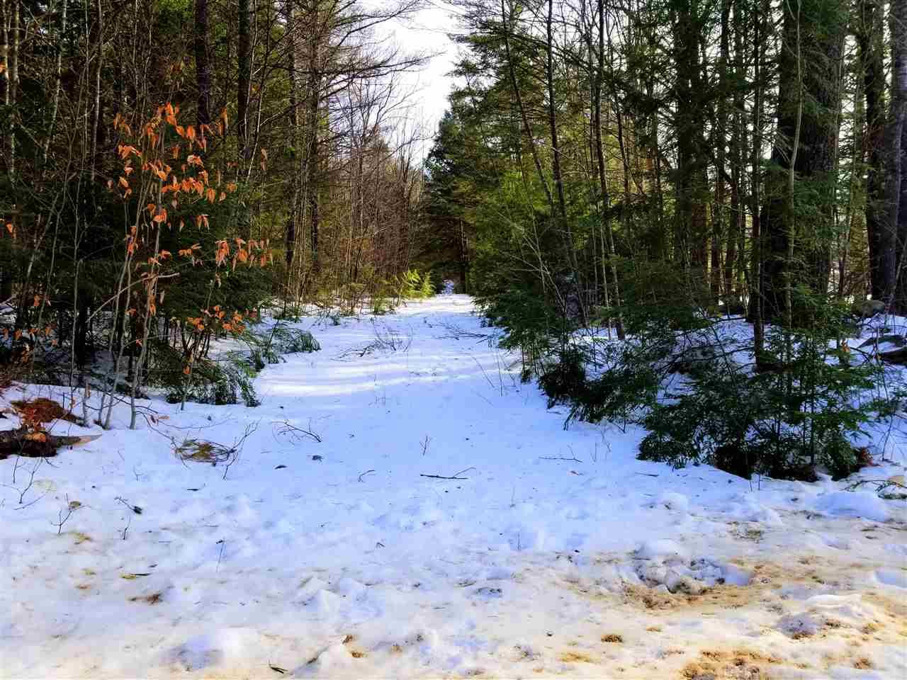 Lot 14 Mountain Road - Photo 1