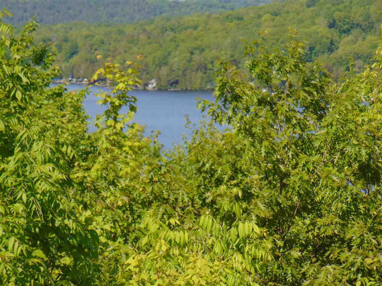 00 Harvey Mountain Road - Photo 1